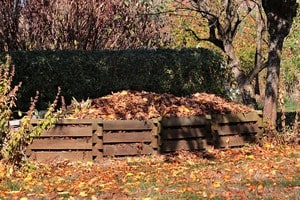 Compost Heap Leaves Fall