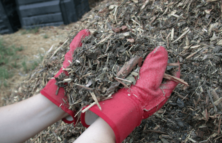 mulch