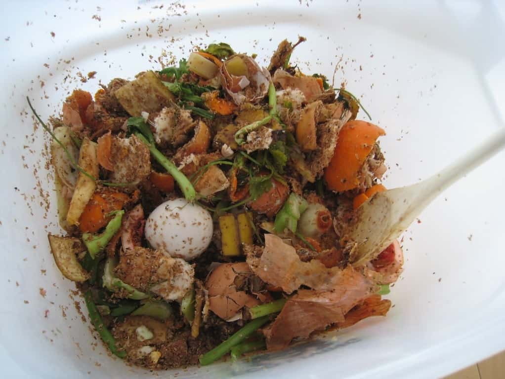 bokashi food scraps