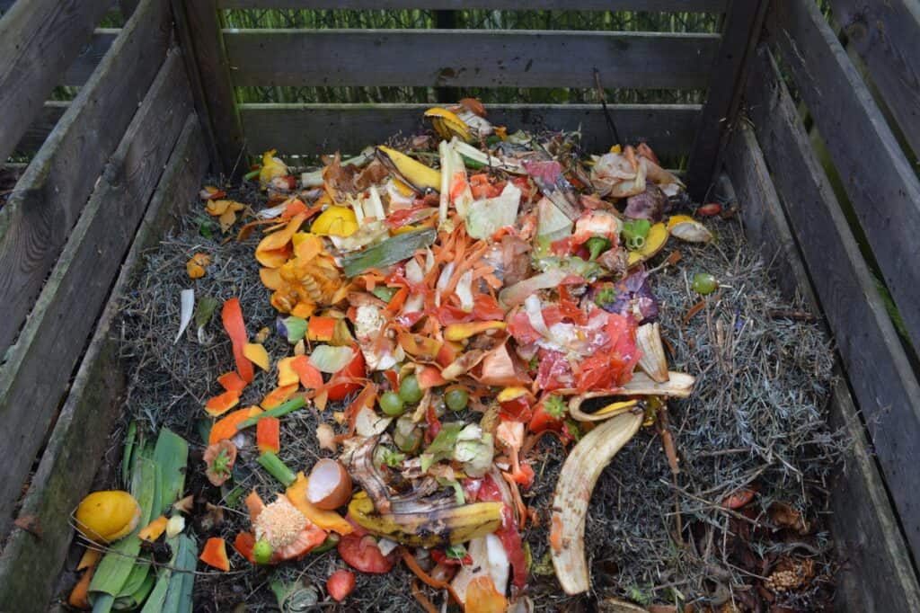 bokashi collecting fruits and vegetables