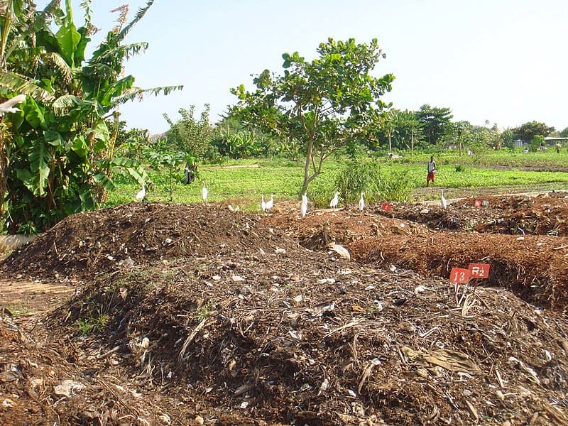 composting outdoors