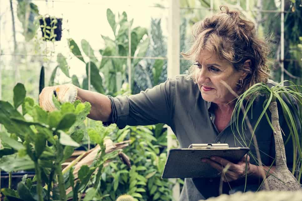 Woman gardening