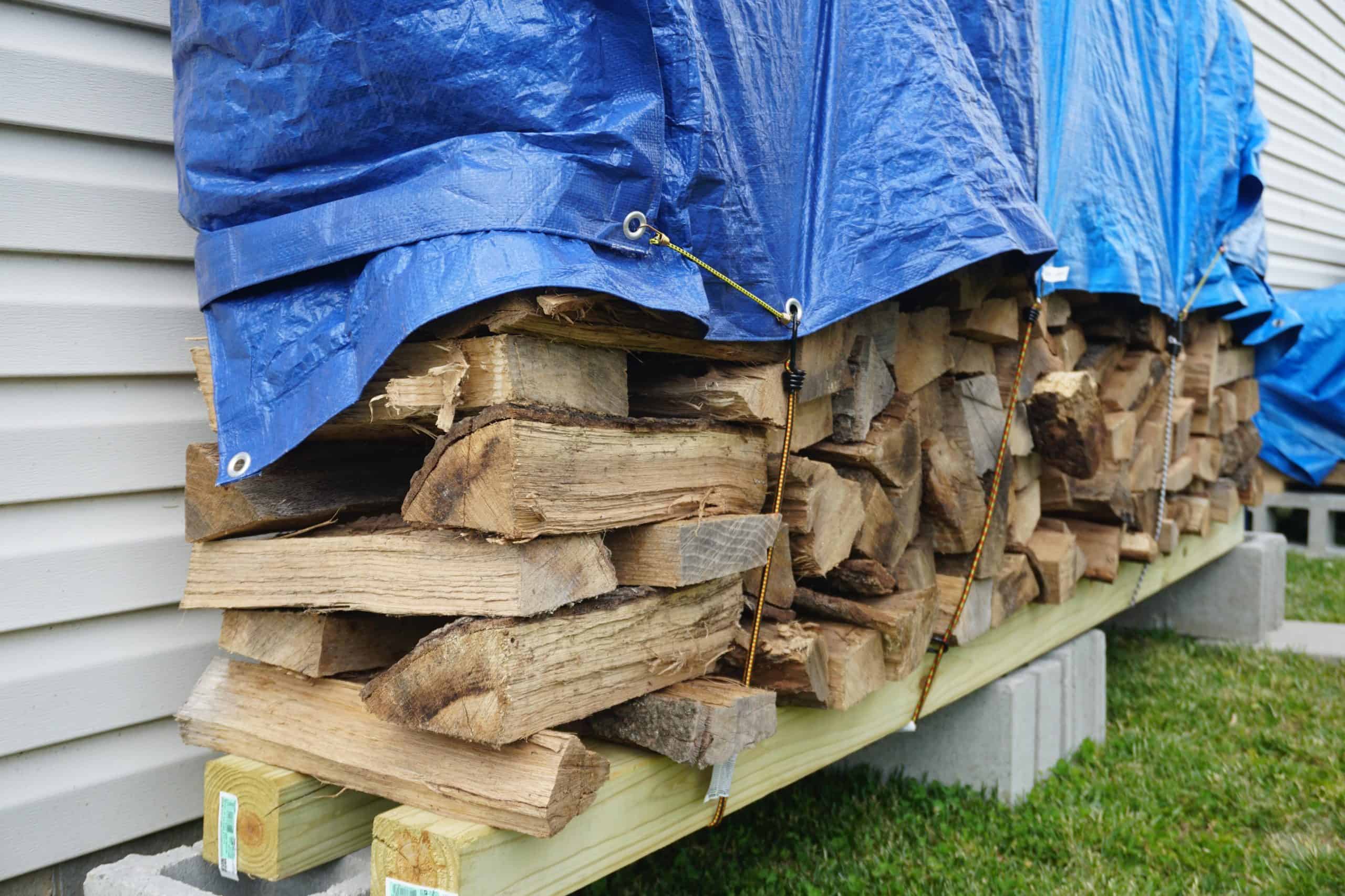 firewood stacked and covered