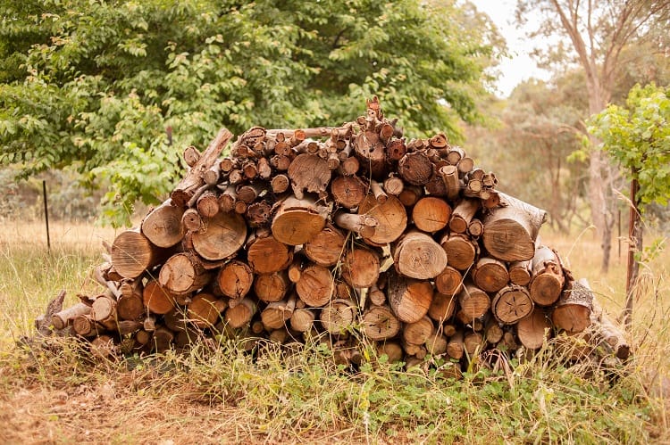 Fire wood pile