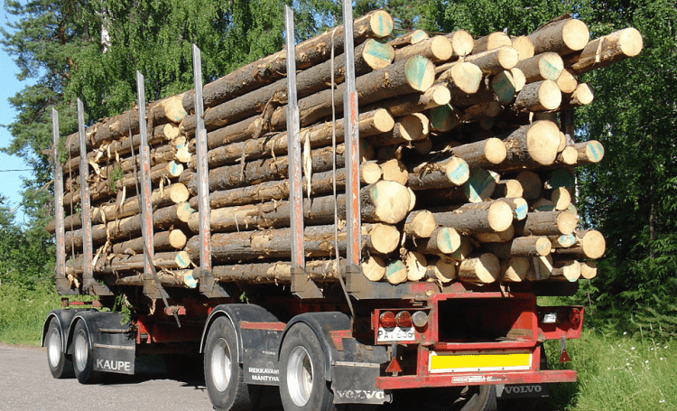 wood in truck