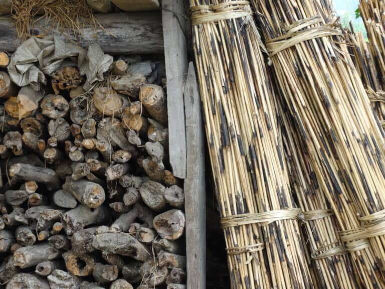 Can You Burn Bamboo in a Fire Pit