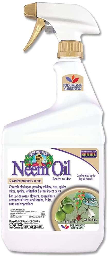 neem oil