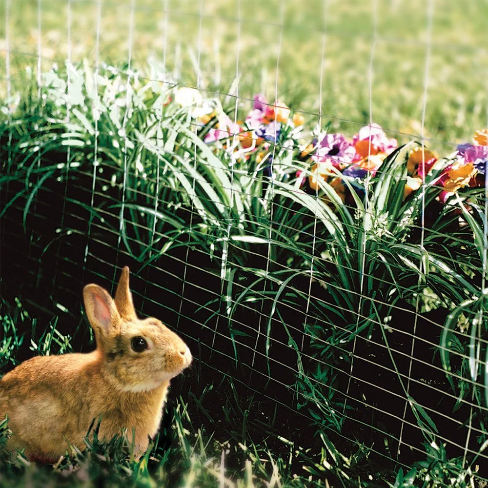 rabbit fence