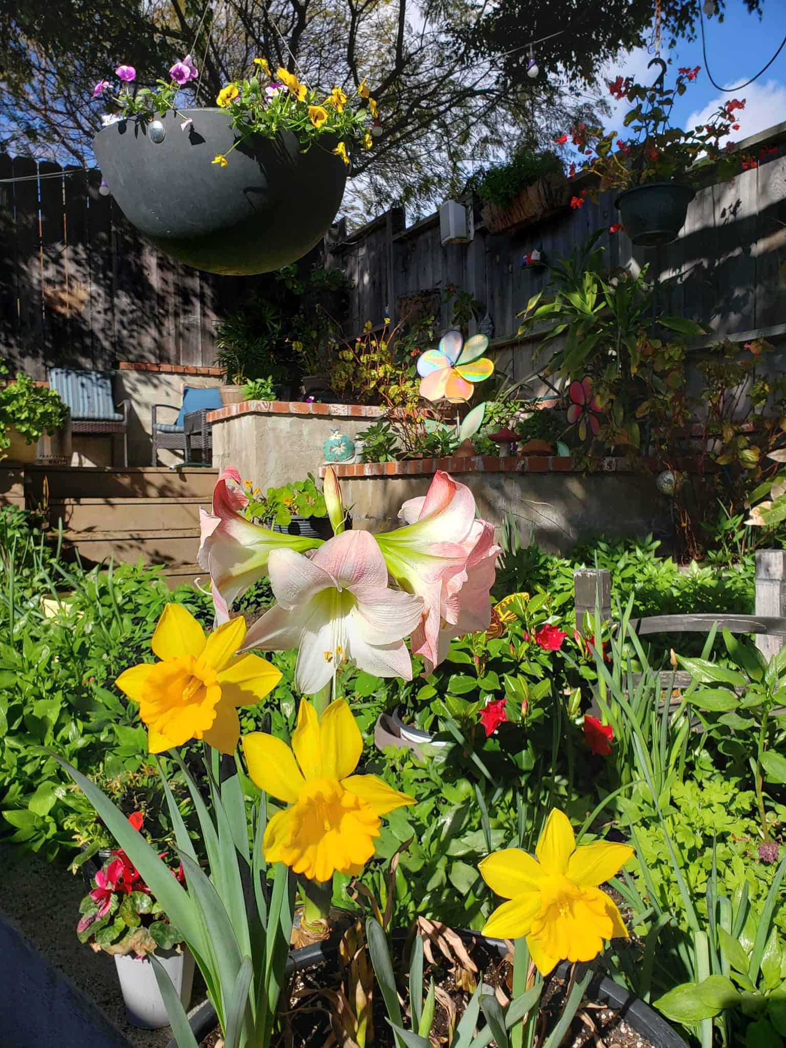 patio in daytime